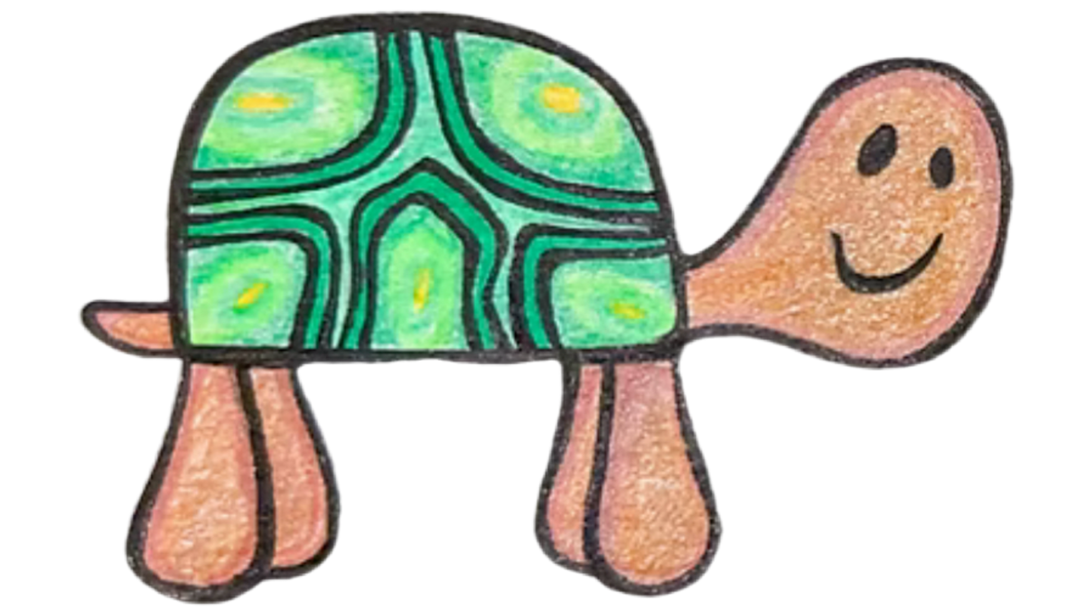 The Humble Turtle